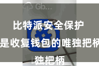 比特派安全保护 是收复钱包的唯独把柄