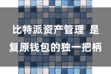 比特派资产管理 是复原钱包的独一把柄