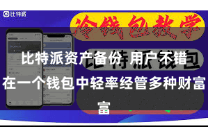 比特派资产备份 用户不错在一个钱包中轻率经管多种财富