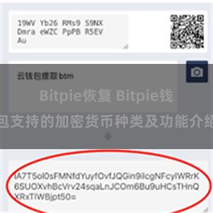 Bitpie恢复 Bitpie钱包支持的加密货币种类及功能介绍