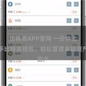 比特派APP官网 一分钟上手比特派钱包，轻松管理多链资产