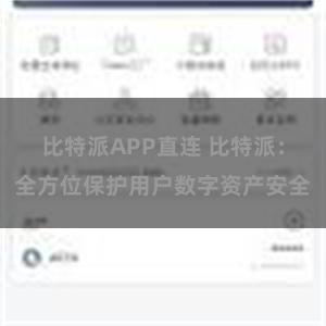 比特派APP直连 比特派：全方位保护用户数字资产安全