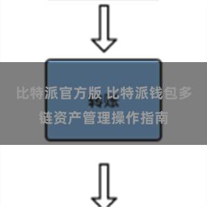 比特派官方版 比特派钱包多链资产管理操作指南