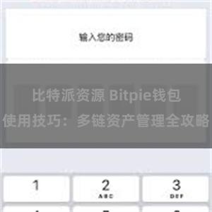 比特派资源 Bitpie钱包使用技巧：多链资产管理全攻略