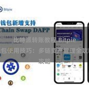 比特派转账教程 Bitpie钱包使用技巧：多链资产管理全攻略