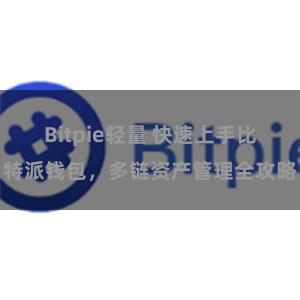 Bitpie轻量 快速上手比特派钱包，多链资产管理全攻略