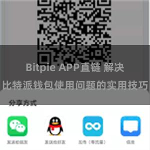 Bitpie APP直链 解决比特派钱包使用问题的实用技巧