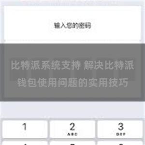 比特派系统支持 解决比特派钱包使用问题的实用技巧