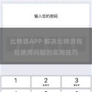 比特派APP 解决比特派钱包使用问题的实用技巧