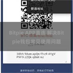 Bitpie APP直连 解决Bitpie钱包常见使用问题