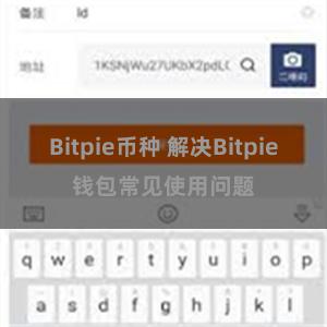 Bitpie币种 解决Bitpie钱包常见使用问题