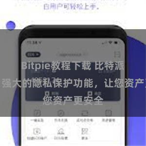 Bitpie教程下载 比特派钱包：强大的隐私保护功能，让您资产更安全