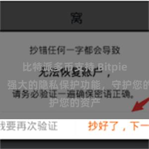 比特派多币支持 Bitpie钱包：强大的隐私保护功能，守护您的资产