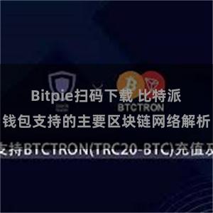 Bitpie扫码下载 比特派钱包支持的主要区块链网络解析