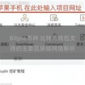 Bitpie币种 比特派钱包支持的主要区块链网络解析