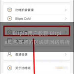 Bitpie用户教程 Bitpie钱包支持的区块链网络解析