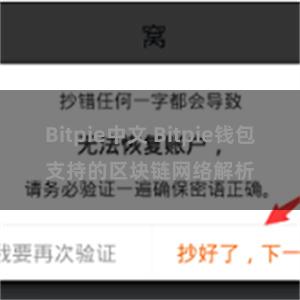 Bitpie中文 Bitpie钱包支持的区块链网络解析