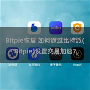 Bitpie恢复 如何通过比特派(Bitpie)设置交易加速？