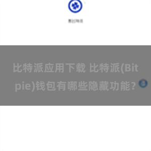 比特派应用下载 比特派(Bitpie)钱包有哪些隐藏功能？