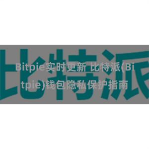 Bitpie实时更新 比特派(Bitpie)钱包隐私保护指南