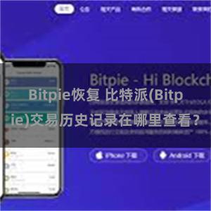 Bitpie恢复 比特派(Bitpie)交易历史记录在哪里查看？