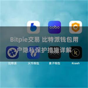 Bitpie交易 比特派钱包用户隐私保护措施详解