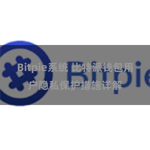 Bitpie系统 比特派钱包用户隐私保护措施详解