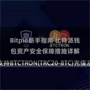 Bitpie新手指南 比特派钱包资产安全保障措施详解