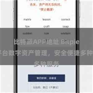 比特派APP地址 Bitpie 跨平台数字资产管理，安全便捷多种服务