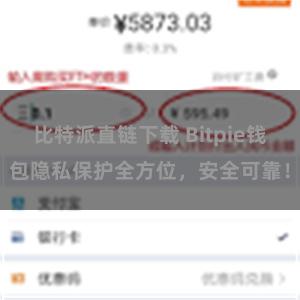 比特派直链下载 Bitpie钱包隐私保护全方位，安全可靠！