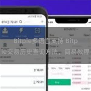 Bitpie多语言支持 Bitpie交易历史查询方法，简易教程