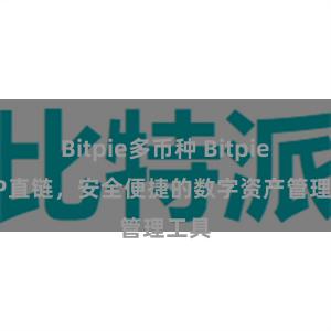 Bitpie多币种 Bitpie APP直链，安全便捷的数字资产管理工具