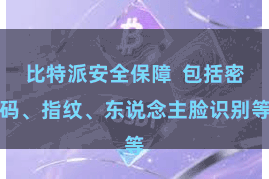 比特派安全保障  包括密码、指纹、东说念主脸识别等