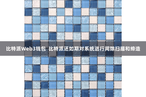 比特派Web3钱包  比特派还如期对系统进行间隙扫描和缔造