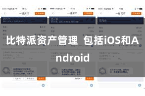 比特派资产管理  包括iOS和Android