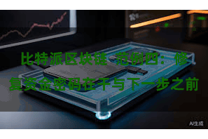 比特派区块链  范例四：修复资金密码在干与下一步之前