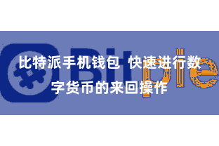 比特派手机钱包  快速进行数字货币的来回操作
