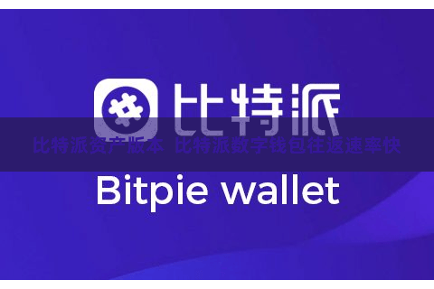比特派资产版本  比特派数字钱包往返速率快