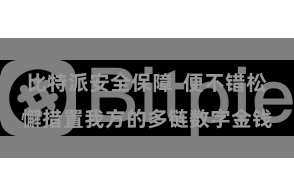 比特派安全保障  便不错松懈措置我方的多链数字金钱